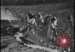 Image Champ de labour tracteurs Ford United States USA, 1935, de la seconde 12 séquences d'archives historiques vidéo 65675078251