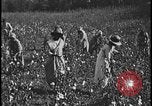 Image Champ de labour tracteurs Ford United States USA, 1935, de la seconde 13 séquences d'archives historiques vidéo 65675078251
