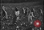 Image Champ de labour tracteurs Ford United States USA, 1935, de la seconde 14 séquences d'archives historiques vidéo 65675078251