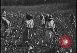 Image Champ de labour tracteurs Ford United States USA, 1935, de la seconde 15 séquences d'archives historiques vidéo 65675078251