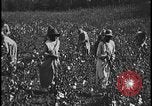 Image Champ de labour tracteurs Ford United States USA, 1935, de la seconde 16 séquences d'archives historiques vidéo 65675078251
