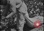 Image Champ de labour tracteurs Ford United States USA, 1935, de la seconde 17 séquences d'archives historiques vidéo 65675078251