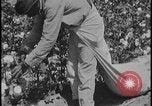Image Champ de labour tracteurs Ford United States USA, 1935, de la seconde 18 séquences d'archives historiques vidéo 65675078251