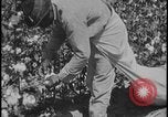 Image Champ de labour tracteurs Ford United States USA, 1935, de la seconde 19 séquences d'archives historiques vidéo 65675078251