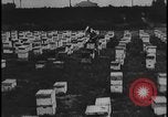 Image Champ de labour tracteurs Ford United States USA, 1935, de la seconde 30 séquences d'archives historiques vidéo 65675078251