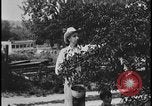 Standbild Nankin-Mills Westland Michigan USA, 1935, aus Sekunde 13 historischem Filmmaterial Videoclip 65675078253