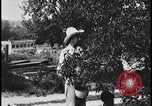 Standbild Nankin-Mills Westland Michigan USA, 1935, aus Sekunde 17 historischem Filmmaterial Videoclip 65675078253