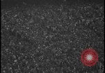 Standbild 1960 Sugar Bowl New Orleans Louisiana USA, 1960, aus Sekunde 18 historischem Filmmaterial Videoclip 65675078301