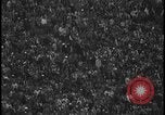 Standbild 1960 Sugar Bowl New Orleans Louisiana USA, 1960, aus Sekunde 36 historischem Filmmaterial Videoclip 65675078301