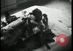 Image Officier allemand corps brûlés Berlin Allemagne, 1945, de la seconde 7 séquences d'archives historiques vidéo 65675078308