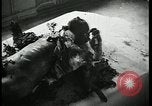 Image Officier allemand corps brûlés Berlin Allemagne, 1945, de la seconde 8 séquences d'archives historiques vidéo 65675078308
