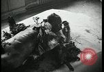 Image Officier allemand corps brûlés Berlin Allemagne, 1945, de la seconde 9 séquences d'archives historiques vidéo 65675078308