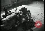 Image Officier allemand corps brûlés Berlin Allemagne, 1945, de la seconde 11 séquences d'archives historiques vidéo 65675078308