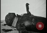 Image Officier allemand corps brûlés Berlin Allemagne, 1945, de la seconde 19 séquences d'archives historiques vidéo 65675078308