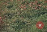 Image of ground crew United Kingdom, 1943, second 3 stock footage video 65675078337