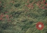 Image of ground crew United Kingdom, 1943, second 4 stock footage video 65675078337