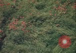 Image of ground crew United Kingdom, 1943, second 5 stock footage video 65675078337