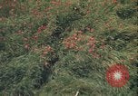 Image of ground crew United Kingdom, 1943, second 7 stock footage video 65675078337