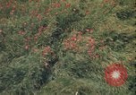 Image of ground crew United Kingdom, 1943, second 8 stock footage video 65675078337