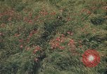 Image of ground crew United Kingdom, 1943, second 9 stock footage video 65675078337