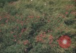 Image of ground crew United Kingdom, 1943, second 10 stock footage video 65675078337