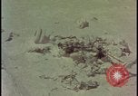 Image of massive atom bomb shock wave Nevada United States USA, 1955, second 33 stock footage video 65675078366