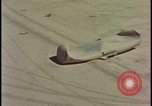 Image of railroad cars wrecked by atomic bomb tests Nevada United States USA, 1955, second 16 stock footage video 65675078368