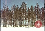 Image of atomic bomb hits tree grove Nevada United States USA, 1955, second 1 stock footage video 65675078375