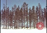 Image of atomic bomb hits tree grove Nevada United States USA, 1955, second 3 stock footage video 65675078375