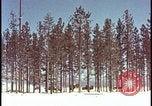 Image of atomic bomb hits tree grove Nevada United States USA, 1955, second 4 stock footage video 65675078375