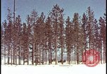 Image of atomic bomb hits tree grove Nevada United States USA, 1955, second 5 stock footage video 65675078375