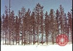 Image of atomic bomb hits tree grove Nevada United States USA, 1955, second 6 stock footage video 65675078375