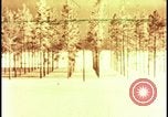 Image of atomic bomb hits tree grove Nevada United States USA, 1955, second 10 stock footage video 65675078375