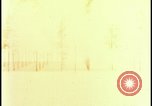 Image of atomic bomb hits tree grove Nevada United States USA, 1955, second 14 stock footage video 65675078375