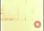 Image of atomic bomb hits tree grove Nevada United States USA, 1955, second 15 stock footage video 65675078375