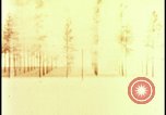 Image of atomic bomb hits tree grove Nevada United States USA, 1955, second 16 stock footage video 65675078375