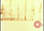 Image of atomic bomb hits tree grove Nevada United States USA, 1955, second 17 stock footage video 65675078375