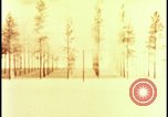 Image of atomic bomb hits tree grove Nevada United States USA, 1955, second 18 stock footage video 65675078375
