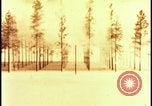 Image of atomic bomb hits tree grove Nevada United States USA, 1955, second 19 stock footage video 65675078375