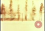 Image of atomic bomb hits tree grove Nevada United States USA, 1955, second 20 stock footage video 65675078375