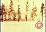 Image of atomic bomb hits tree grove Nevada United States USA, 1955, second 21 stock footage video 65675078375