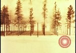 Image of atomic bomb hits tree grove Nevada United States USA, 1955, second 22 stock footage video 65675078375