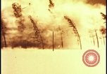 Image of atomic bomb hits tree grove Nevada United States USA, 1955, second 24 stock footage video 65675078375