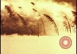 Image of atomic bomb hits tree grove Nevada United States USA, 1955, second 25 stock footage video 65675078375