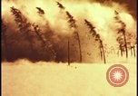 Image of atomic bomb hits tree grove Nevada United States USA, 1955, second 26 stock footage video 65675078375