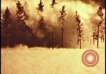 Image of atomic bomb hits tree grove Nevada United States USA, 1955, second 27 stock footage video 65675078375