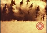 Image of atomic bomb hits tree grove Nevada United States USA, 1955, second 28 stock footage video 65675078375