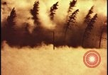 Image of atomic bomb hits tree grove Nevada United States USA, 1955, second 29 stock footage video 65675078375