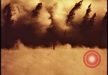 Image of atomic bomb hits tree grove Nevada United States USA, 1955, second 30 stock footage video 65675078375
