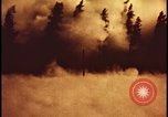 Image of atomic bomb hits tree grove Nevada United States USA, 1955, second 31 stock footage video 65675078375